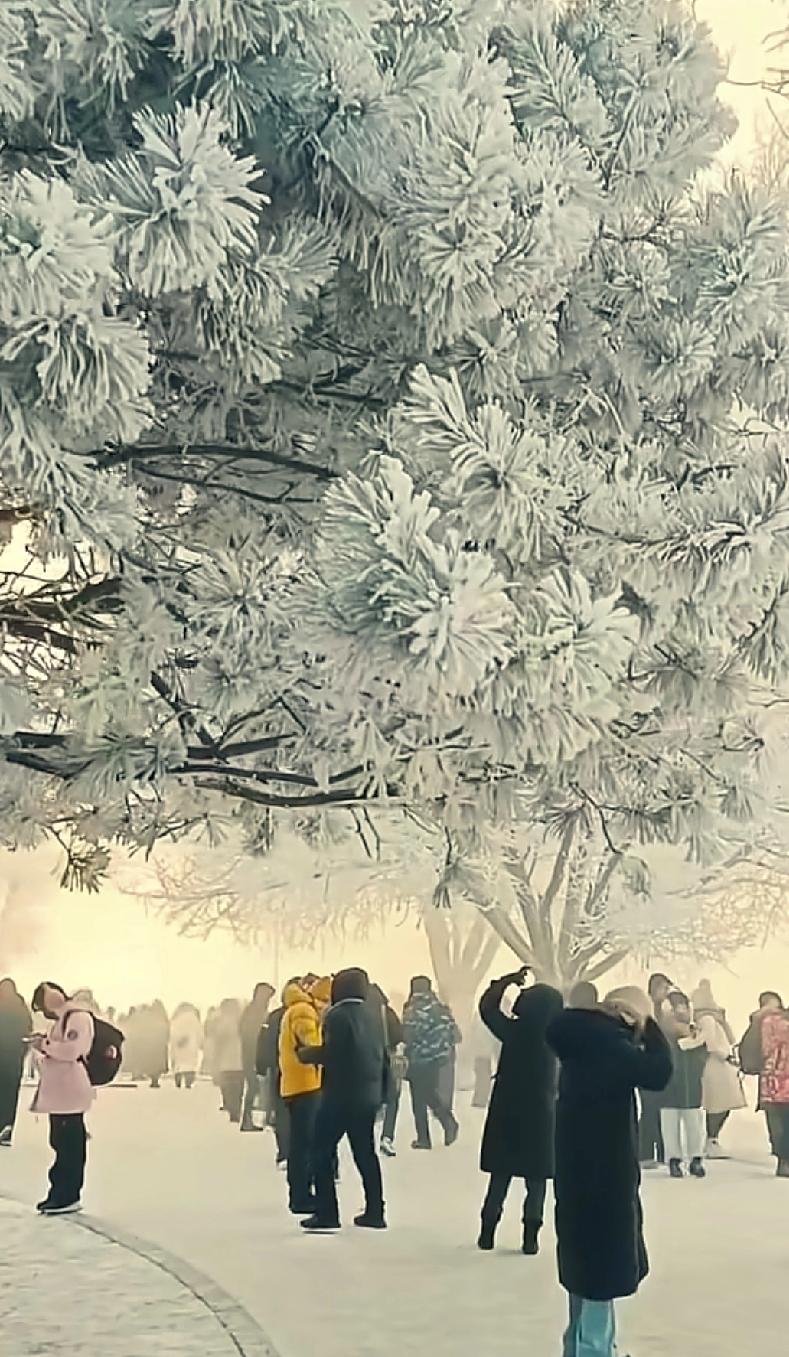 国际法对各个国家的保护大打折扣。现在美国成了破坏国际法的众矢之的，美国不交联合国