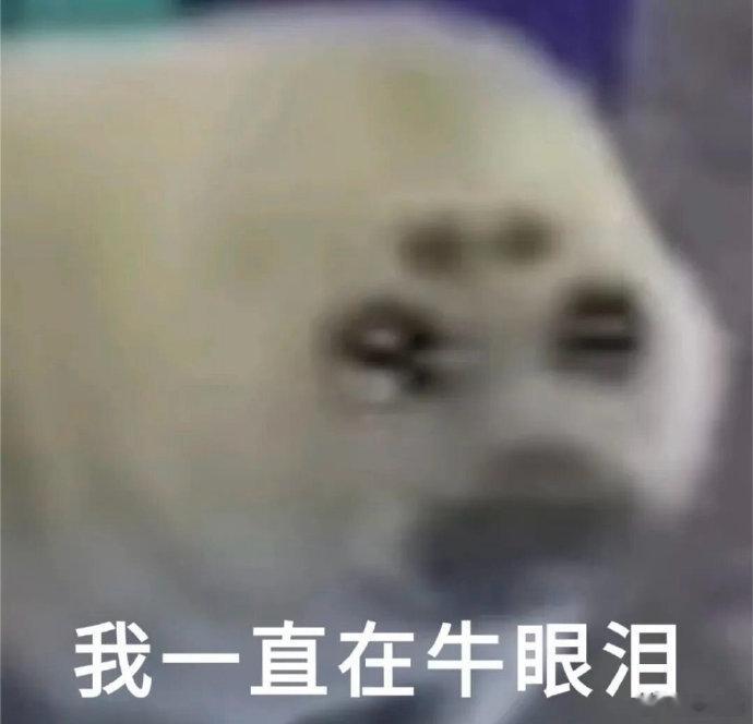从现在开始再也不安慰任何一位粉丝每次安慰粉丝受伤害的都是我自己，聊半天心疼了半天