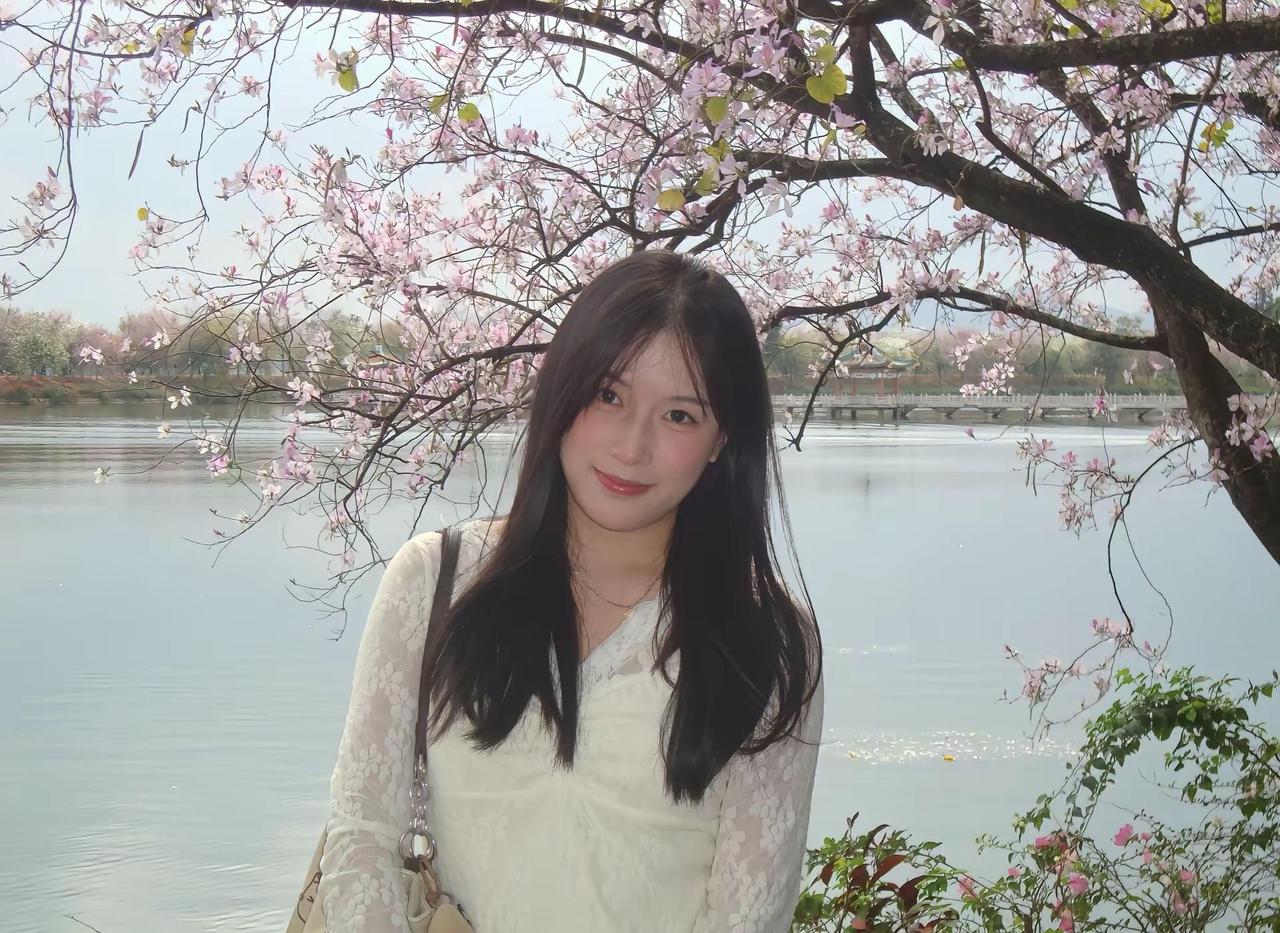 仿佛你只需静静看我一眼。紫荆花盛开