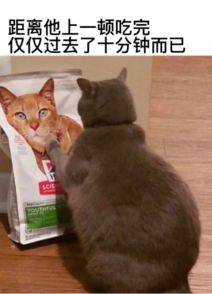 加餐加餐#今日memes# //#我的幽默搭子# //#定格# ​​​