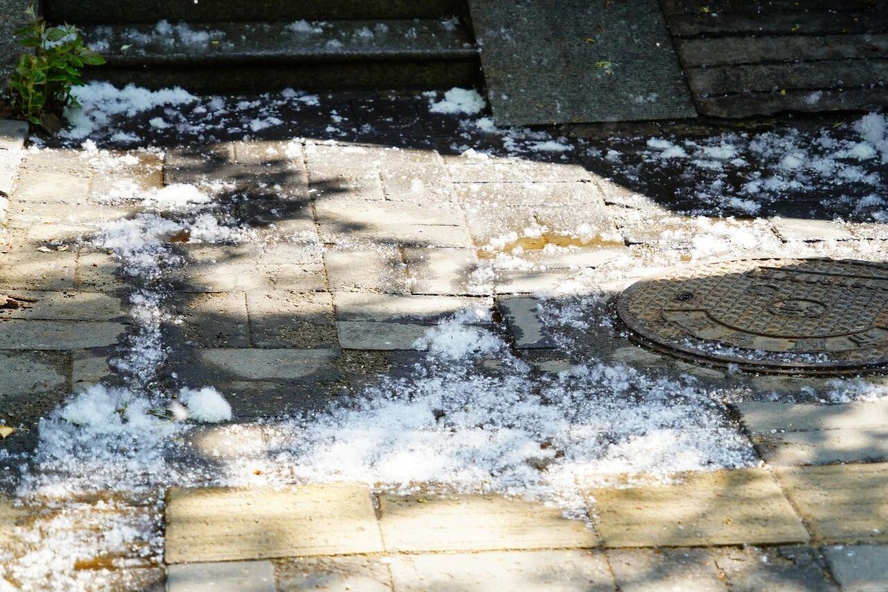 #飞絮季如何有效防护#【#官方回应为什么不能把杨柳树都砍了#】每年四月，北方多地