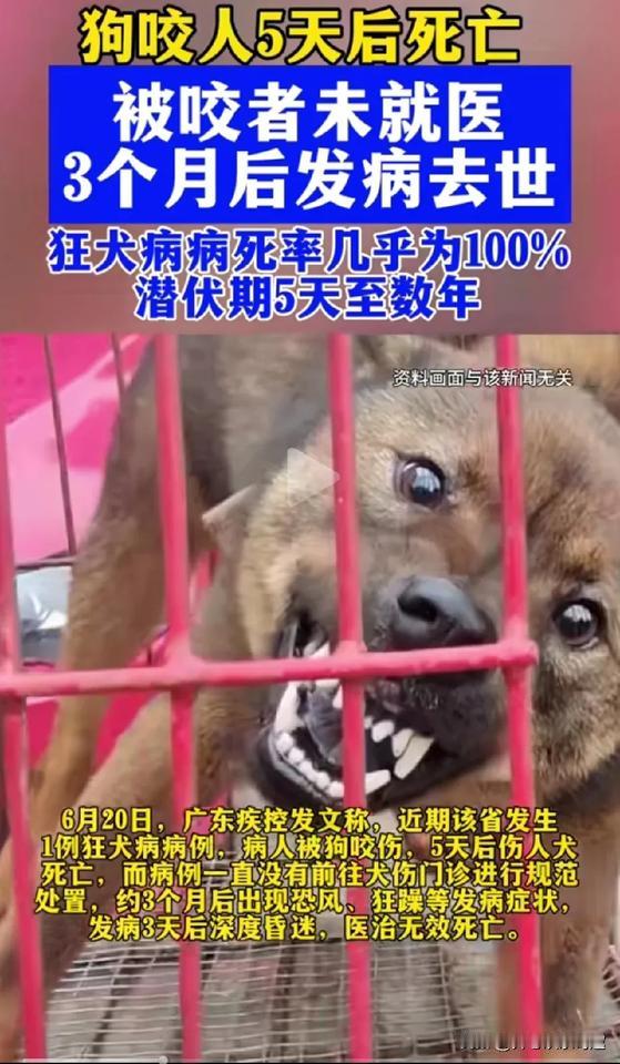 养狗的人，你们可以看好你们的狗吗？
据广东疾控中心说，近期广东省发生了一起狂犬病