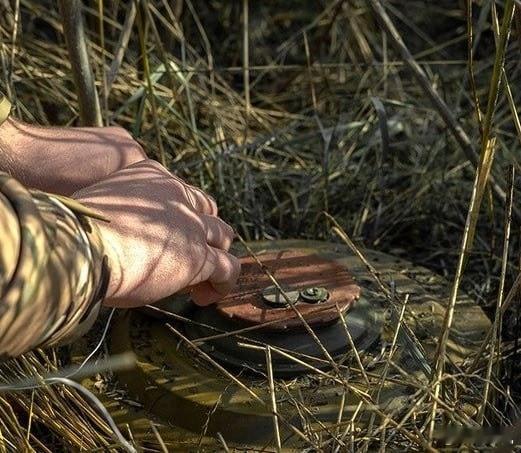 立陶宛今天正式退出《禁止杀伤人员地雷公约》。根据该国国防部的声明,立陶宛现在有权