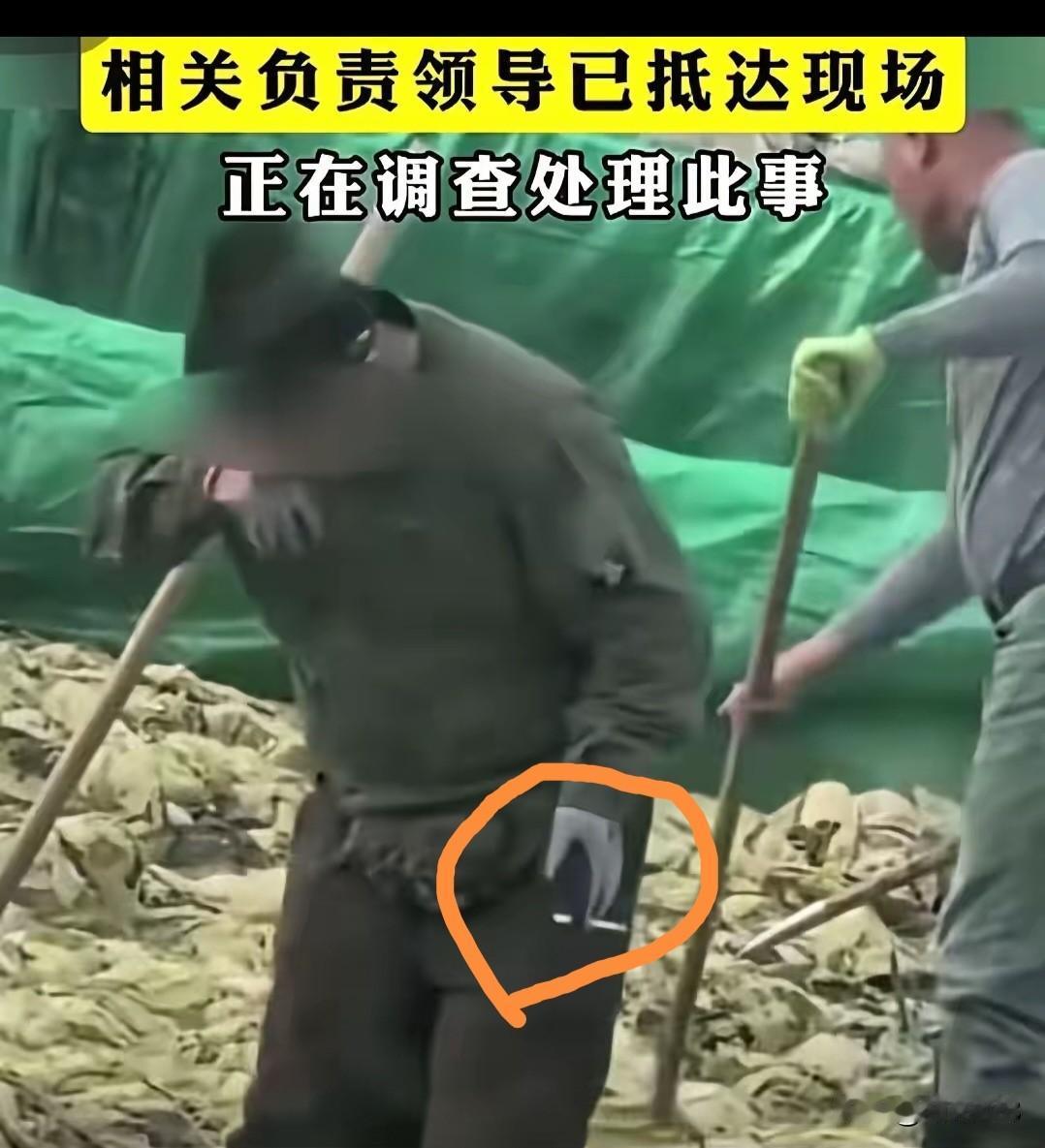 抽烟就不对了，还往里面吐痰，
​这一下把很多酸菜厂都要干倒闭了，估计这男人也得下