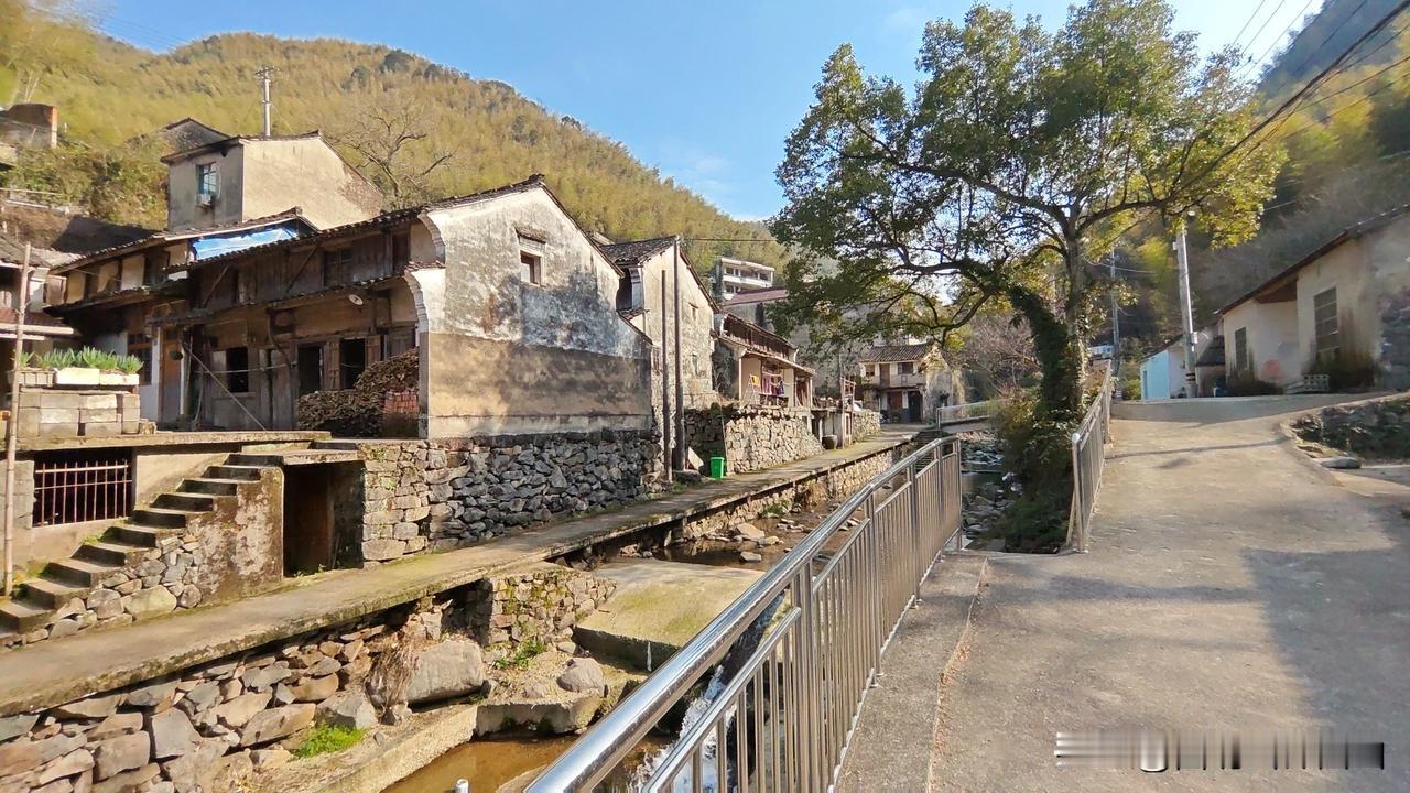 你想去余姚庙下张村看看吗