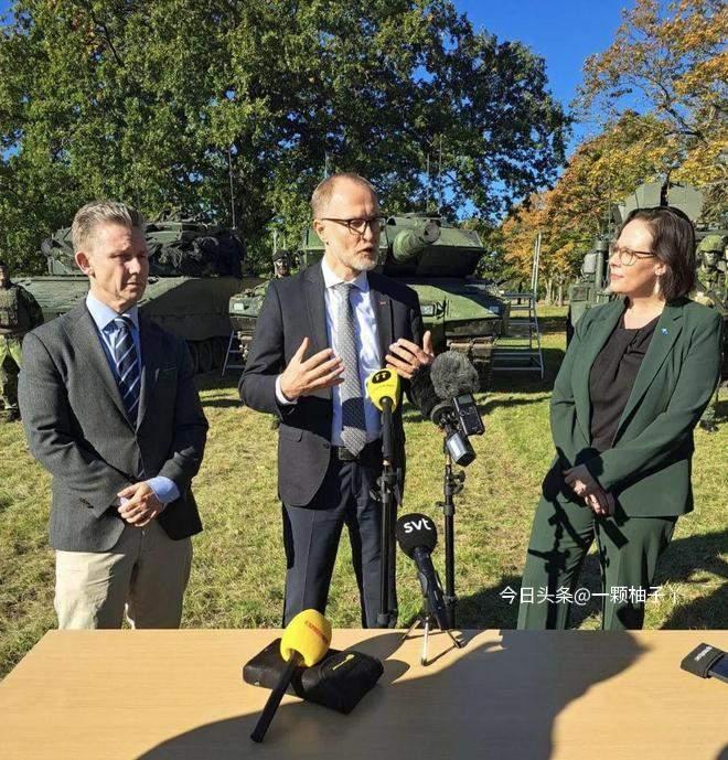 联合国安理会就伊朗局势开会时，拉脱维亚常驻代表帕夫卢塔-德斯兰德斯确实对伊朗代表