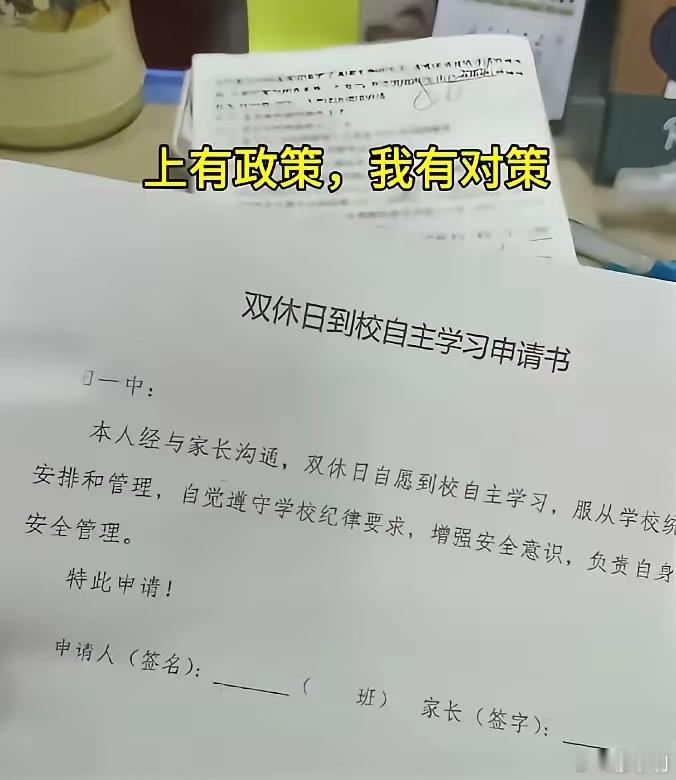 现在很多高中学校一方面旗帜鲜明地支持双休政策，另一面又偷偷搞了个自愿留校政策。真