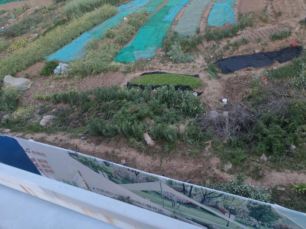 合肥四县农村集体经济，肥西就一定村村有分红？跑遍乡村才知道，差距比想象的更现实！