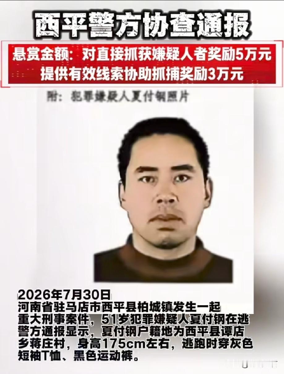 西平县的这名犯罪嫌疑人，从外表来看体格十分健壮，可能随身还带有凶器，遇到他之后应