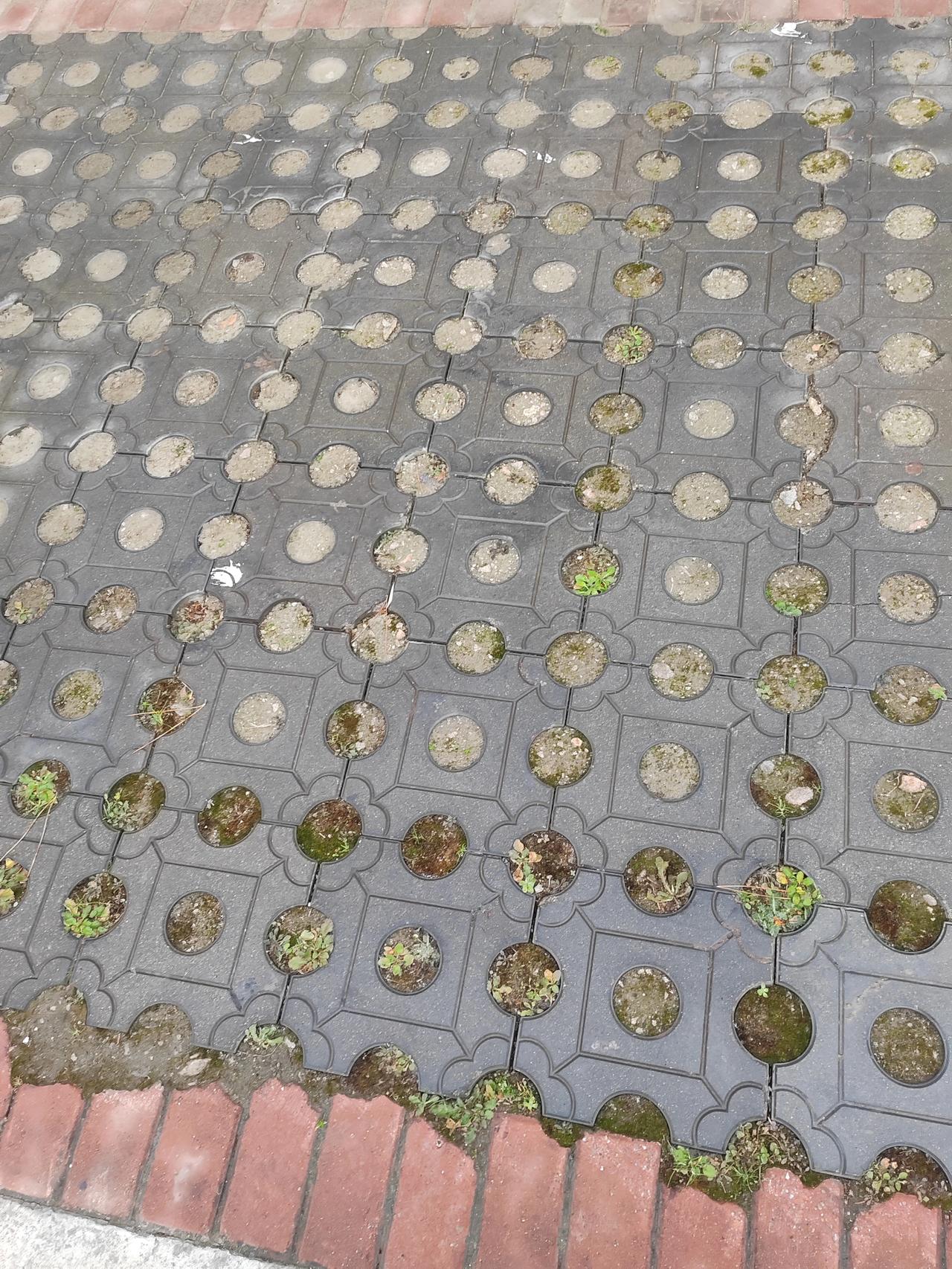 网友投稿：车能停在这样的路面上吗？不是很平，有这种花纹，会不会伤车伤轮胎？不在斜