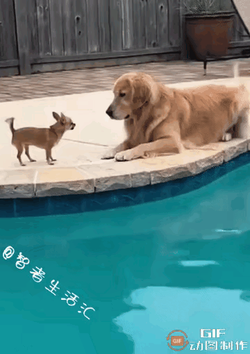 [[吐舌][加油]万物㫮有灵,警告“小不点”莫作死逞能[吐舌][加油]]
   