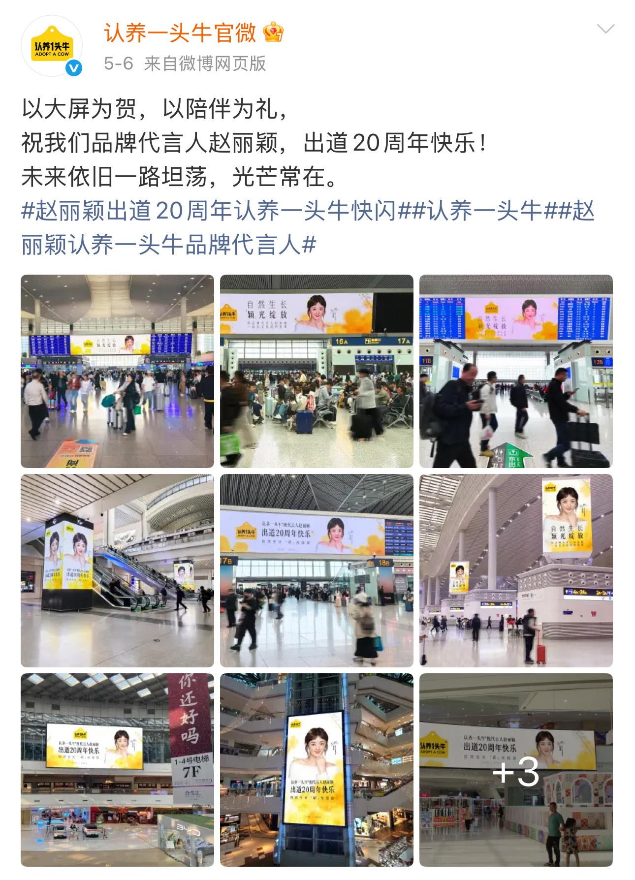 赵丽颖认养一头牛品牌代言人赵丽颖出道二十周年 牛啊！牛啊！感谢牛！