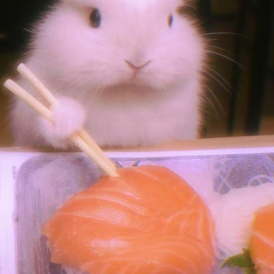 兔在管理期哦 