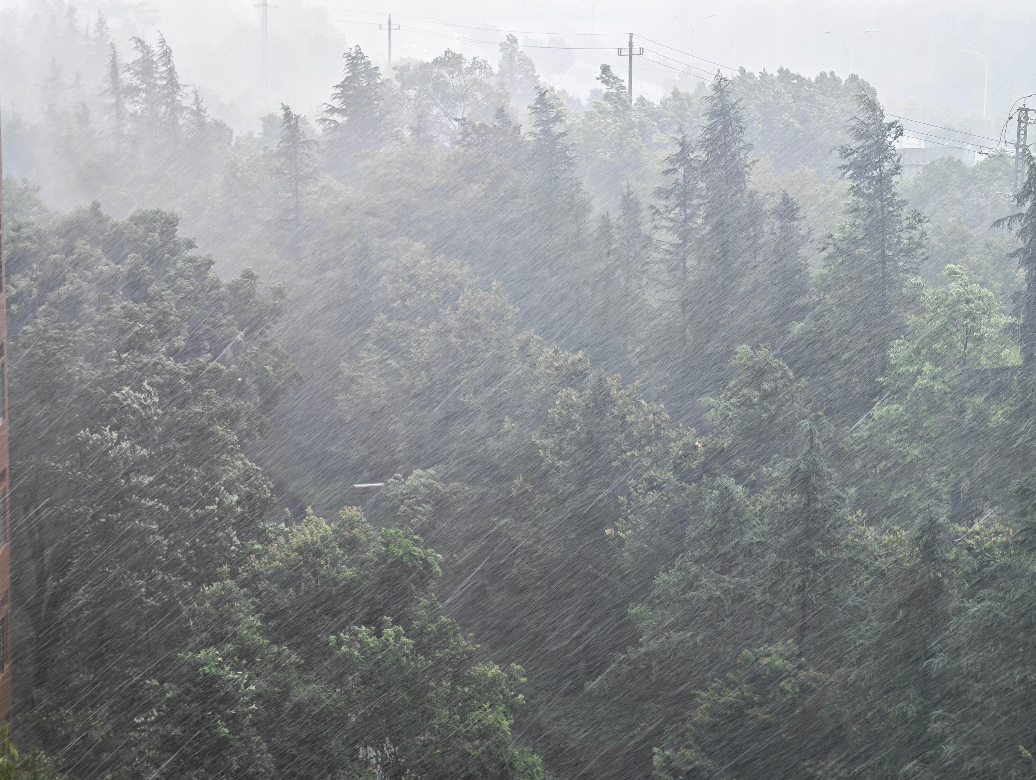 这让这大雨全都落下~下一句你们来