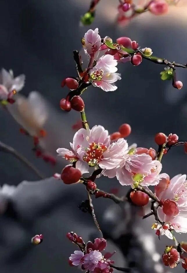 遗憾与失败，本就是人生常态。没有绝对完美的人生，只有越来越好的心态。不必为无法挽