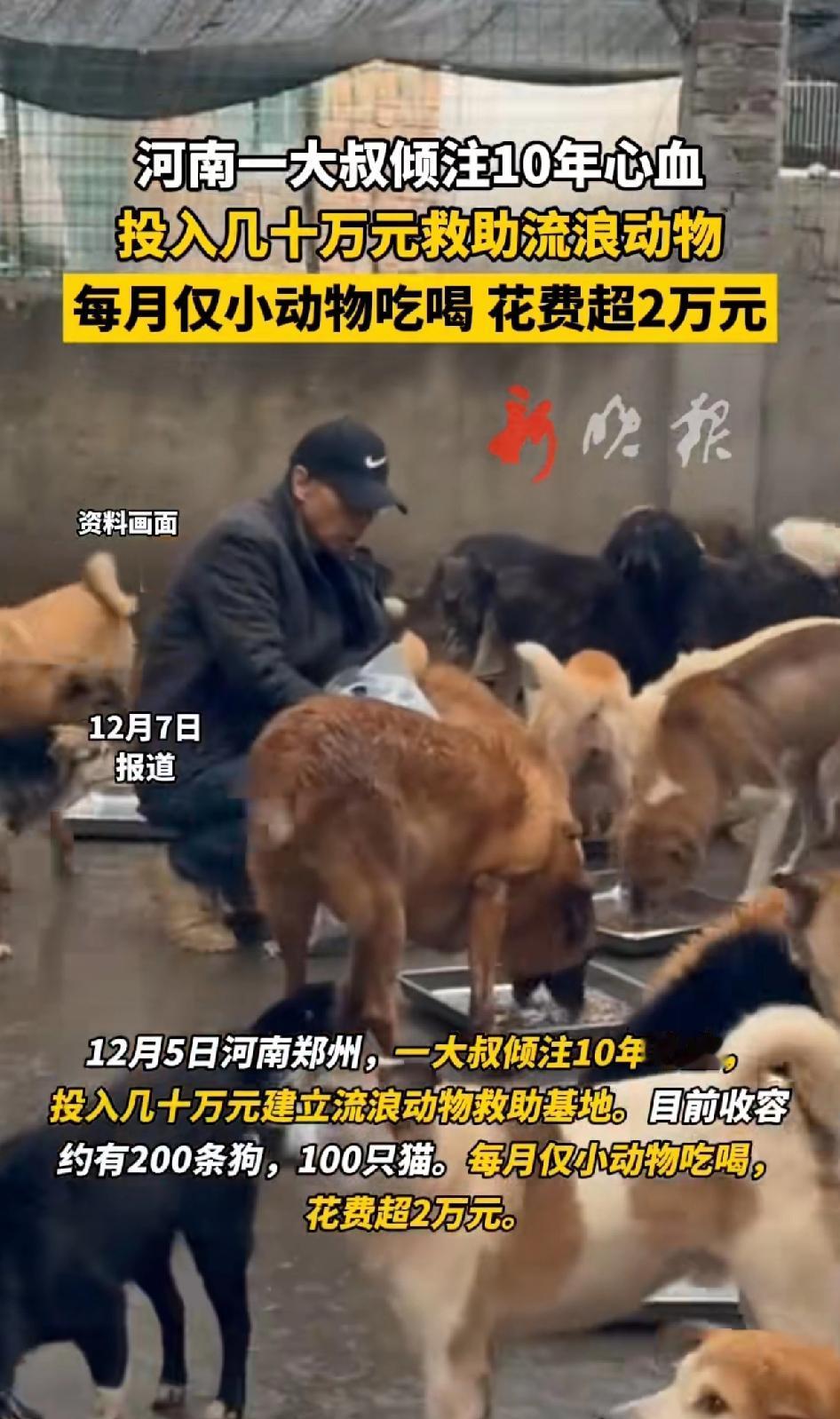河南郑州一大叔倾注10年心血，投入几十万建立流浪动物救助基地。
目前收治200多