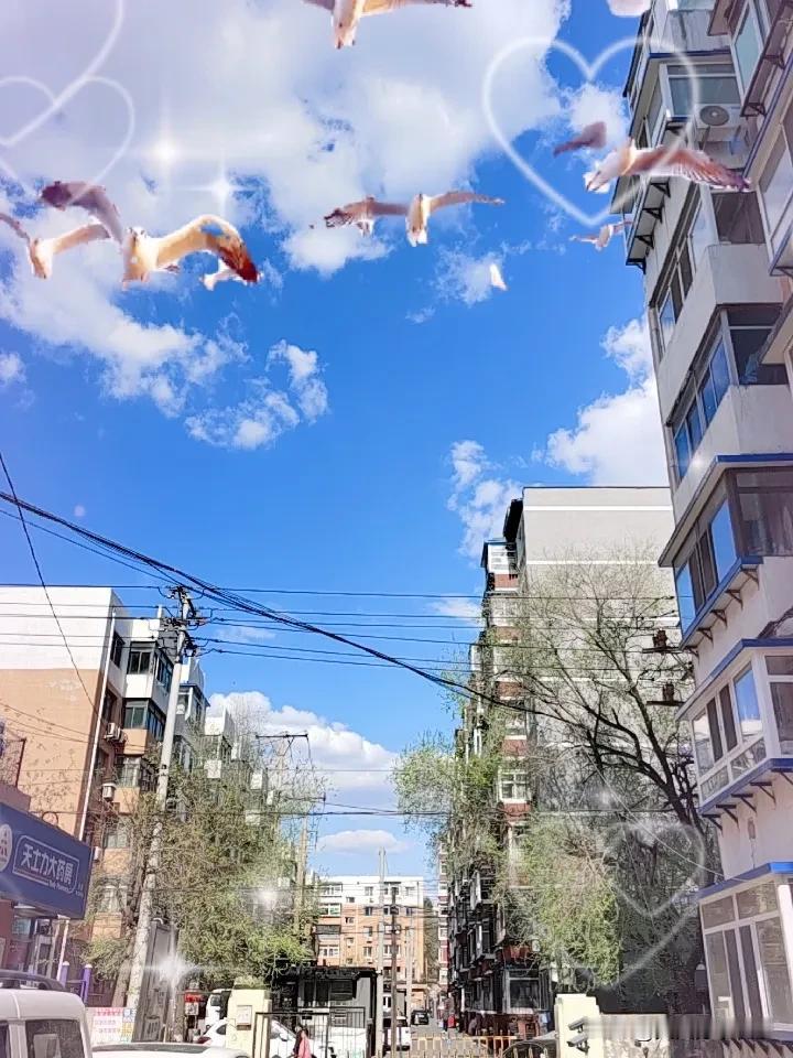 春日生活打卡季