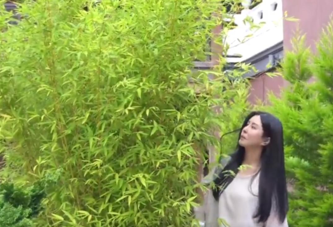 4月20日，王祖贤最新的近况画面曝光，在加拿大当地的寺庙公布的视频里，王祖贤一袭