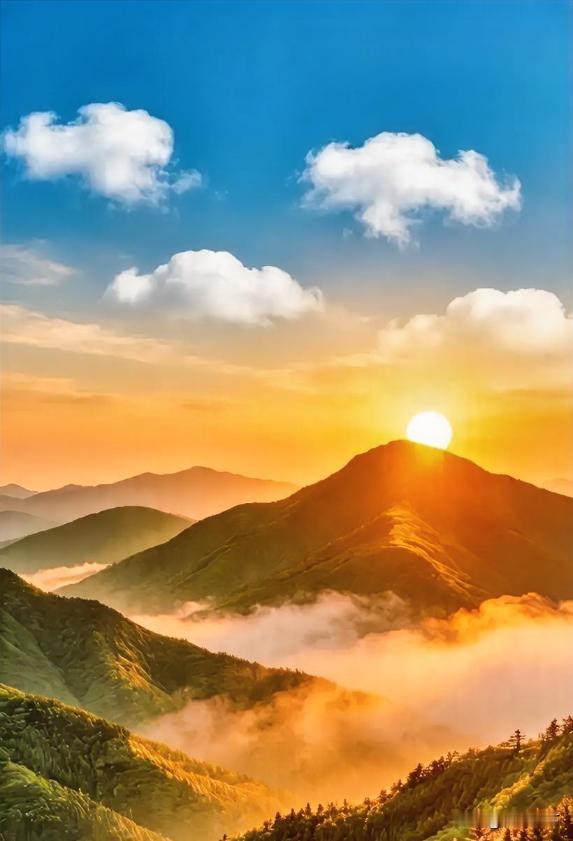 人到中年，慢慢活明白了。
不再凑热闹，不跟人争辩，不讨好谁。
自己开心最重要，家