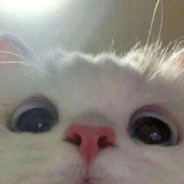 #05后乡村考生如何选志愿# 面对高考志愿的抉择，乡村考生以科技为友，精准定位兴