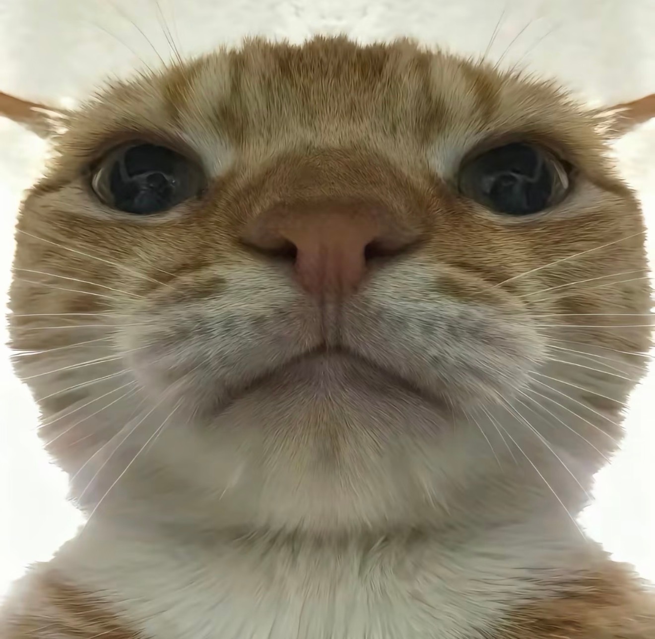 涉密人员婚假擅自出境被通报批评既然端了这碗饭，签了保密协议，那就得按规矩办事。保