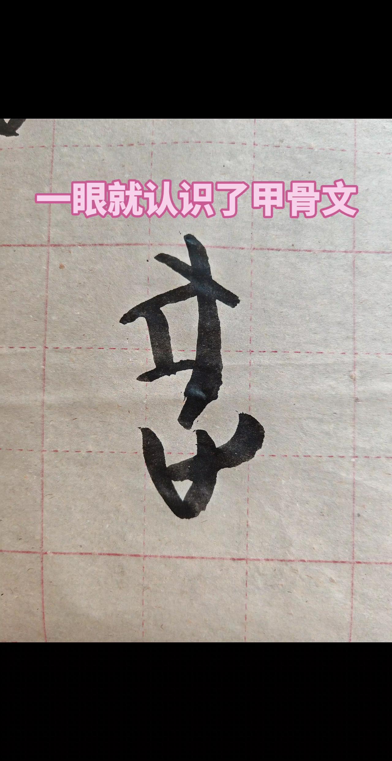 甲骨文 说文解字 汉字之美