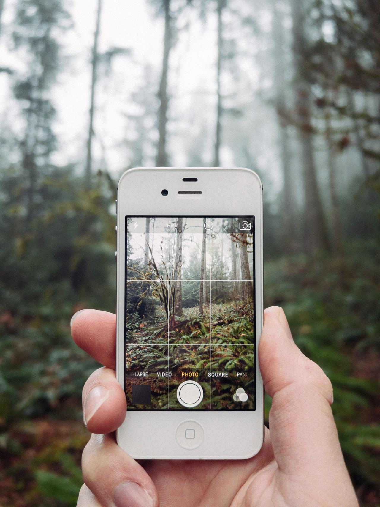 4S在拼多多卖爆现在好多人吹嘘iPhone 4和4s的相机多美好，能拍出复古效果