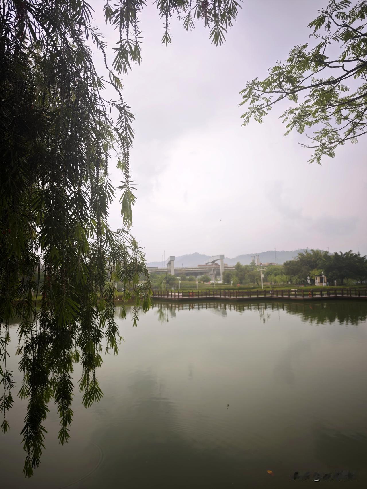 今天太倒霉了，好不容易休息一天，准备去几十公里外的一个湿地公园玩，出发前天气还好