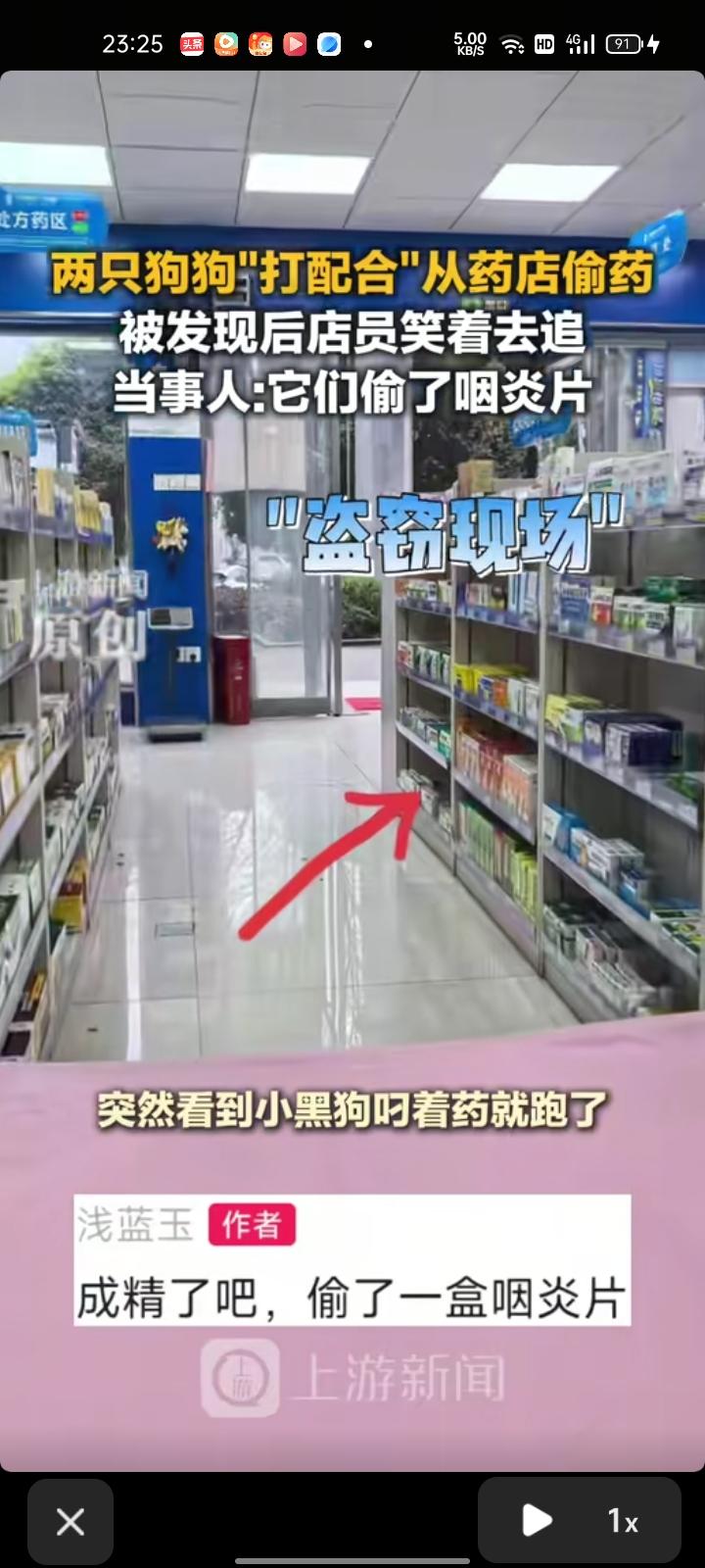 3月27日，湖南长沙。两只狗狗默契配合在药店偷药，直接叼着药跑了，两个女店员边笑