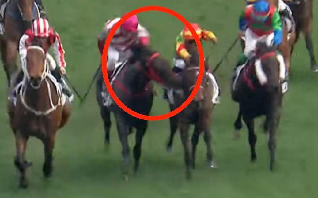 賽馬🏇界嘅蘇亞雷斯 