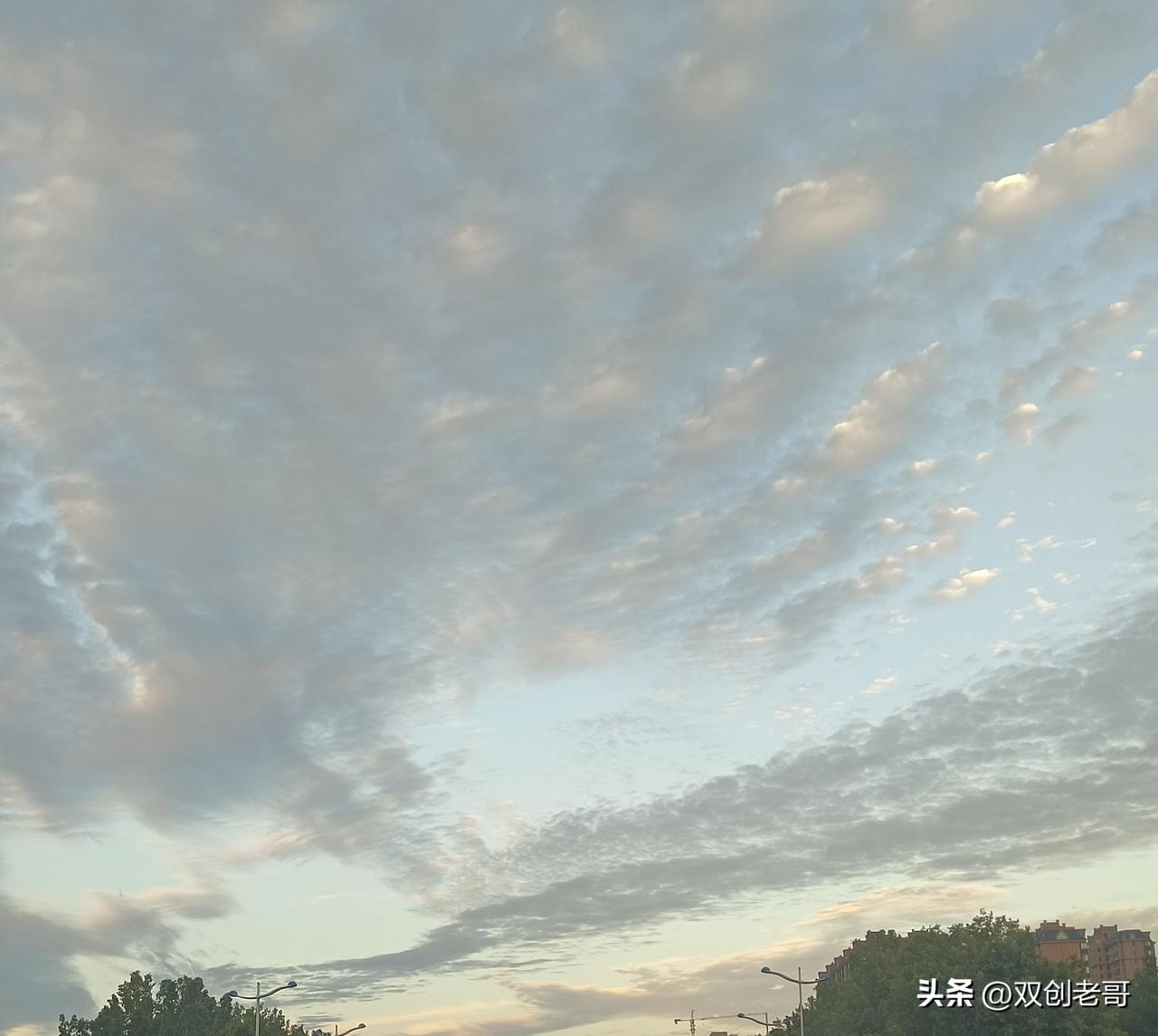 七绝·秋夕晚景
夕阳染彩云霞秀，平野青田芦荻苍。
雁队声声南行去，晚风习习梦归乡