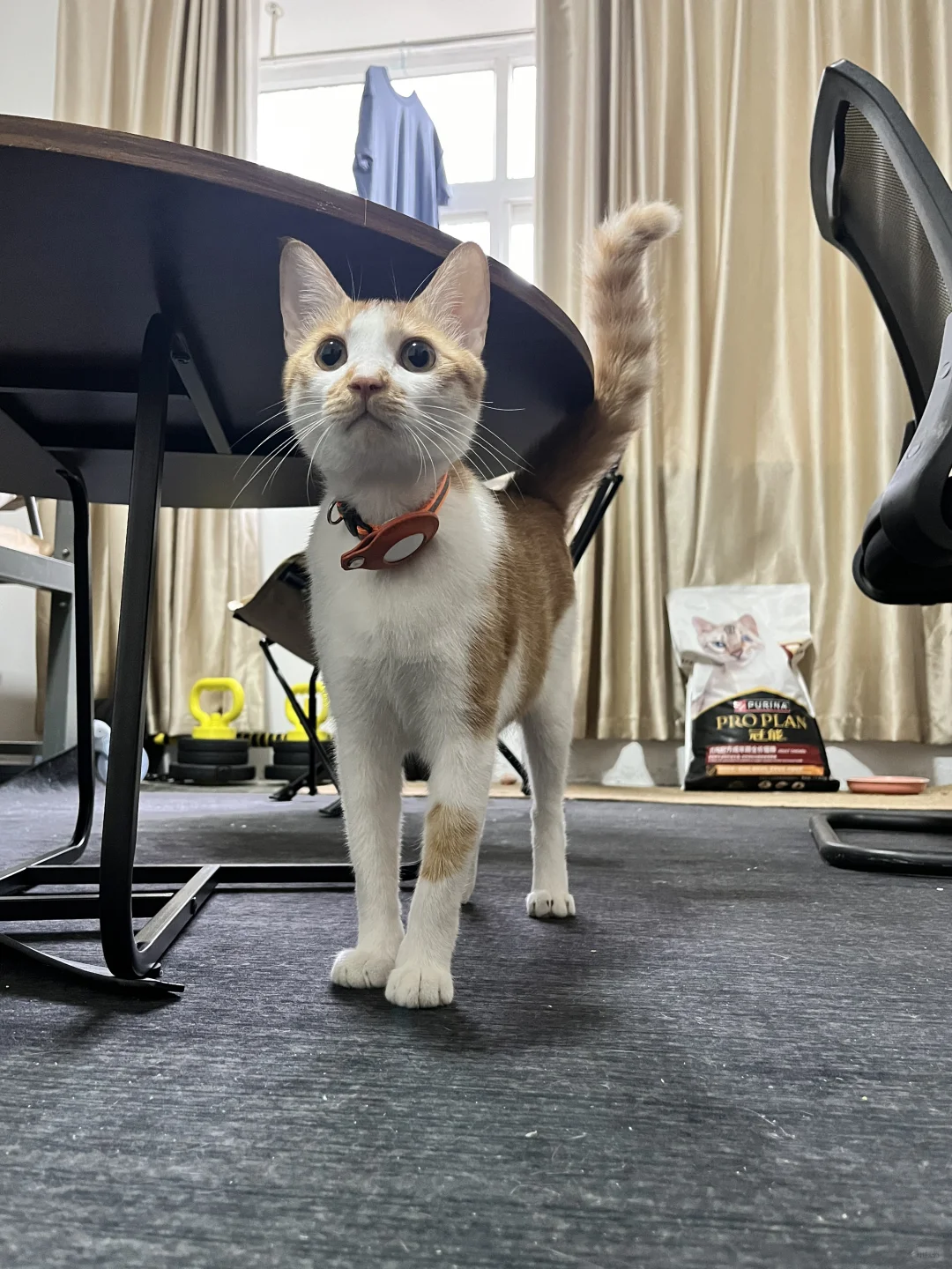 周五下班来看怀民啦