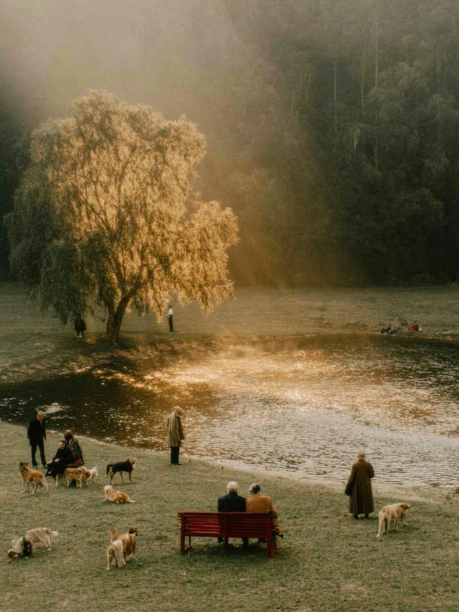 怎样捕捉人与环境的温情互动？