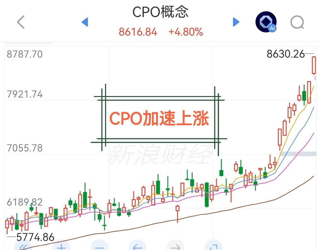 当下的CPO板块是该 “分币不买”还是该“打不过就加入”呢？
今天A股CPO板块
