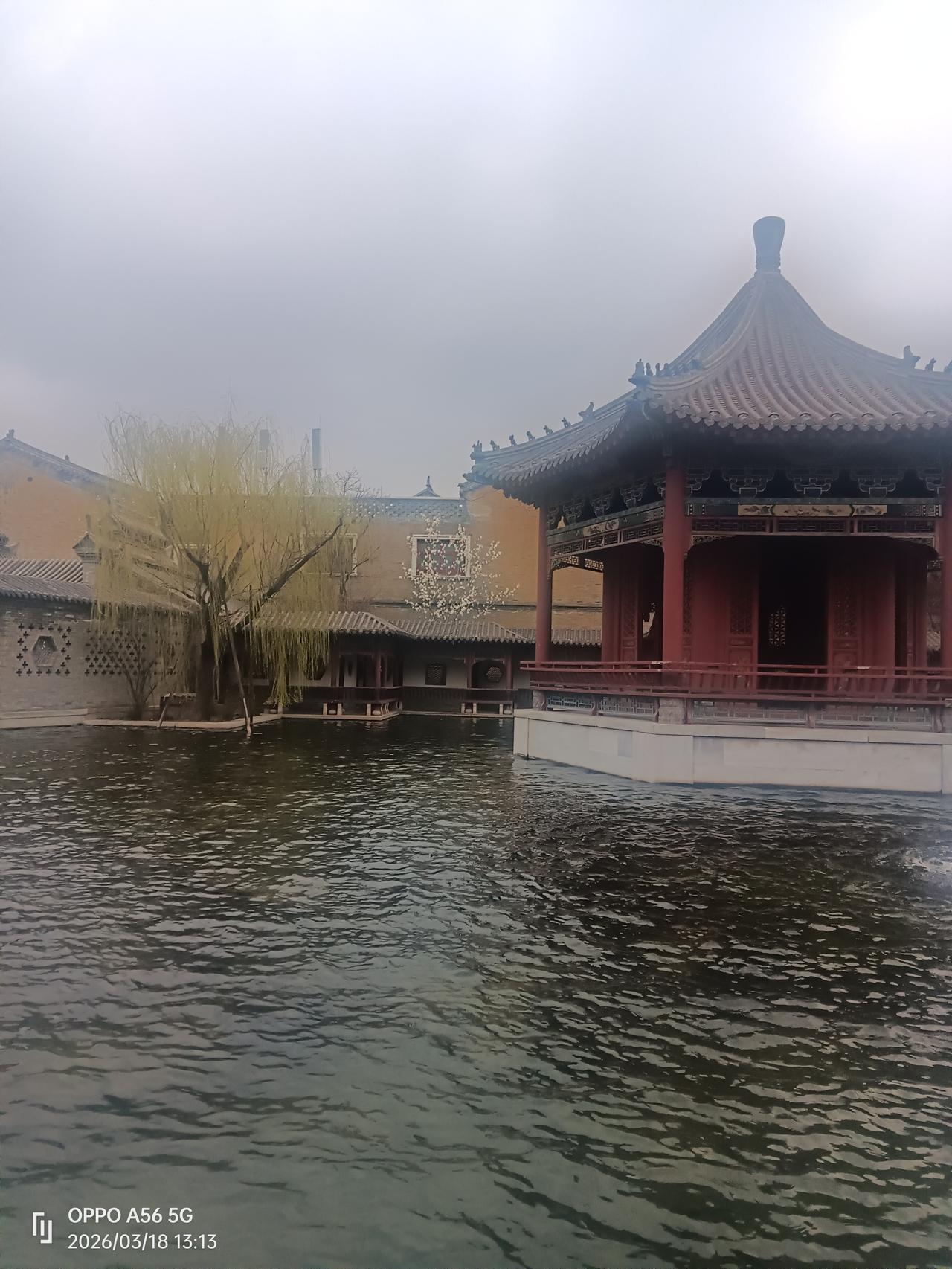 分享一张我春日出游在杭州湘湖边拍的照片。清晨阳光穿过木绣球花丛，照亮石板小径，画