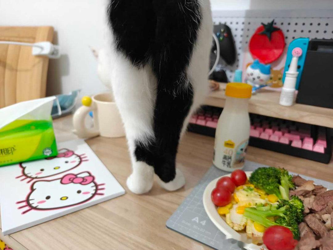 49522【心灵丑】每次人吃饭就把屁股怼人脸上 