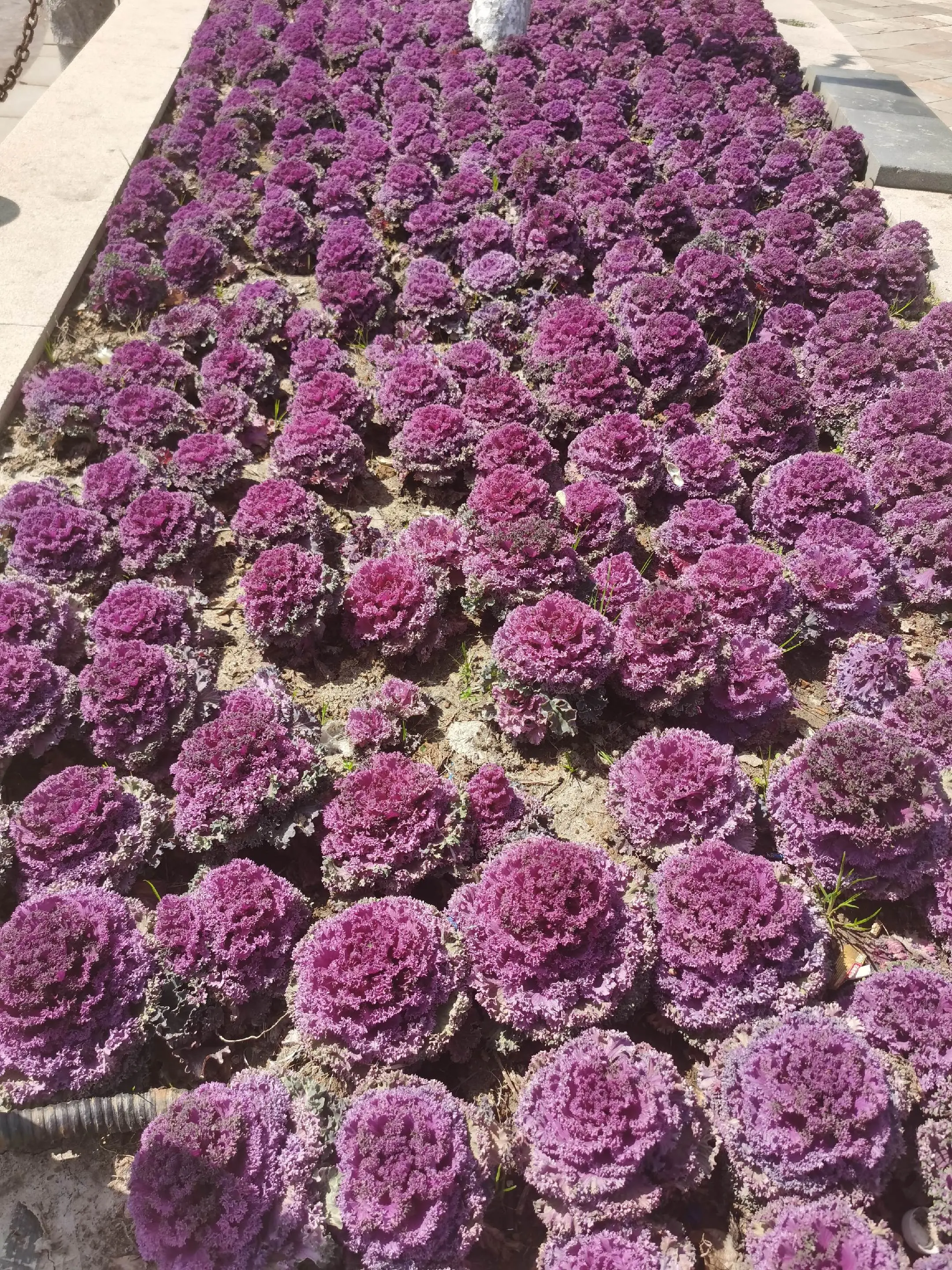 就这样记录你慢慢长大