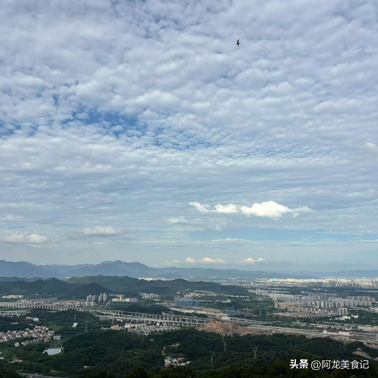 炎炎夏日，出门就是玩
 
盛夏的风裹挟着温热气息，挡不住奔赴山野与市井的热忱，夏