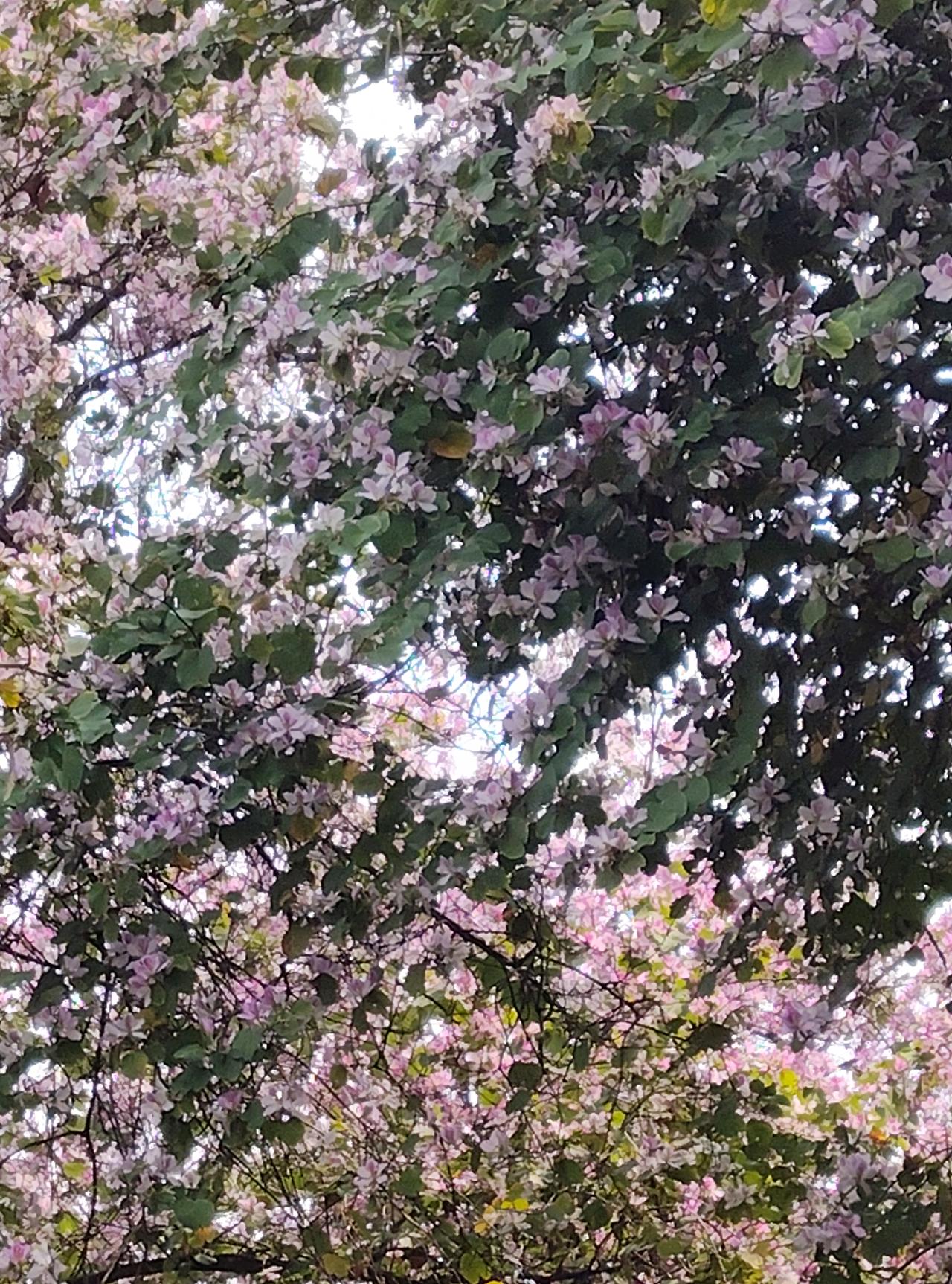 爱与不爱，看看厨房就知道了，那里藏着家人间的温情与付出的回应。

一个有爱的家庭