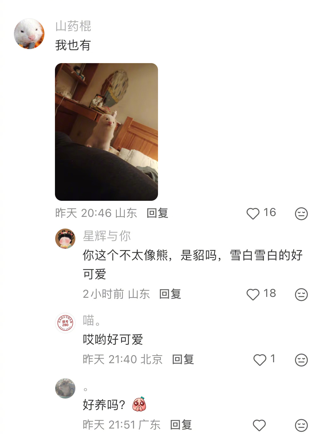 打地鼠真鼠版来了 