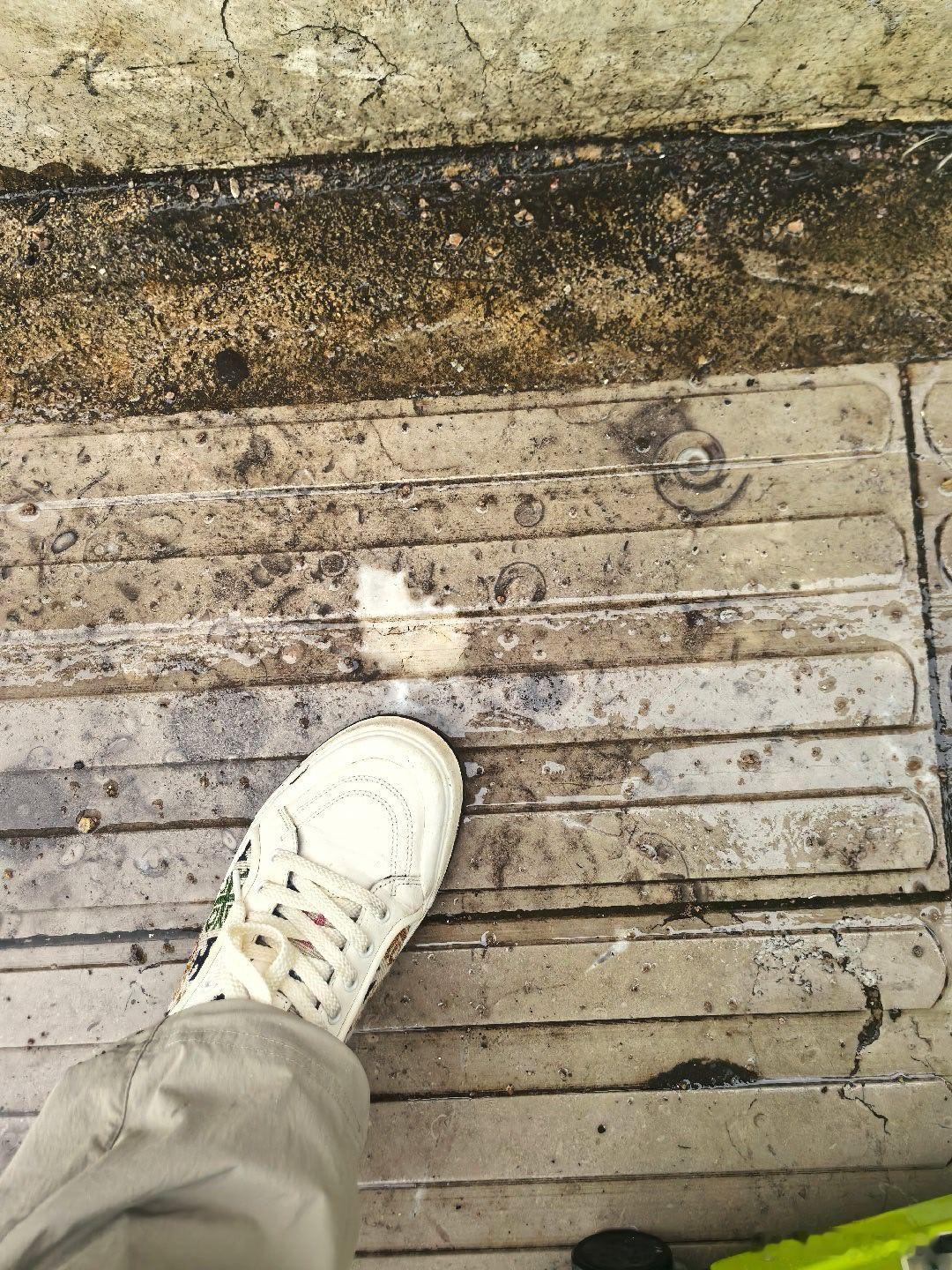 还是得大云南，路边人行道石板全是化石😂看得好心动昆明