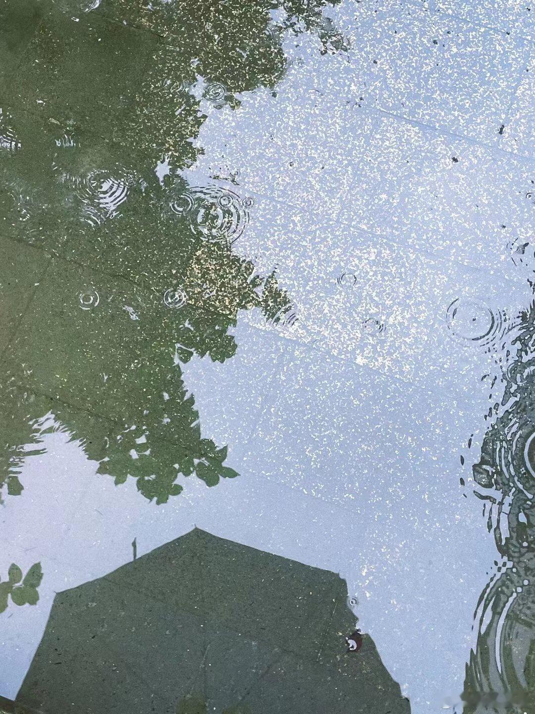 是下暴雨的下雨天⛈️很治愈的雨天。 ​​​