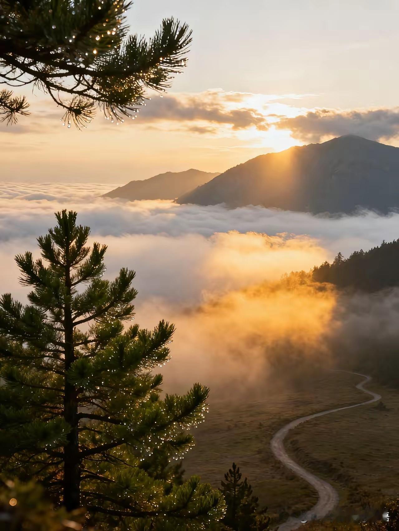 晨曦中的山间小路，云海翻滚，如梦如幻。云海日出的美景