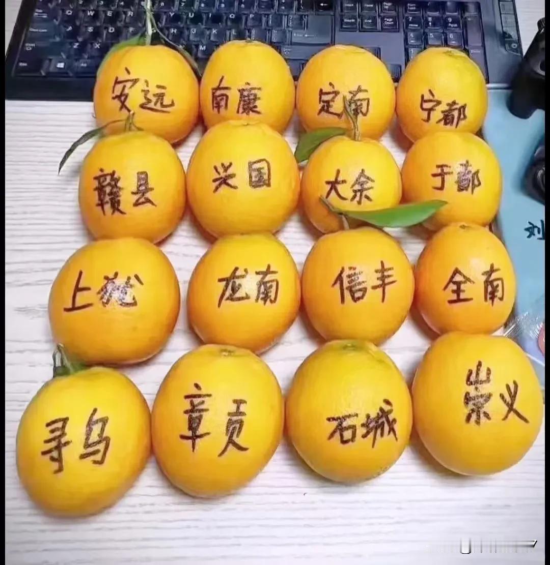 赣州脐橙哪个县的最好?江西脐橙品质