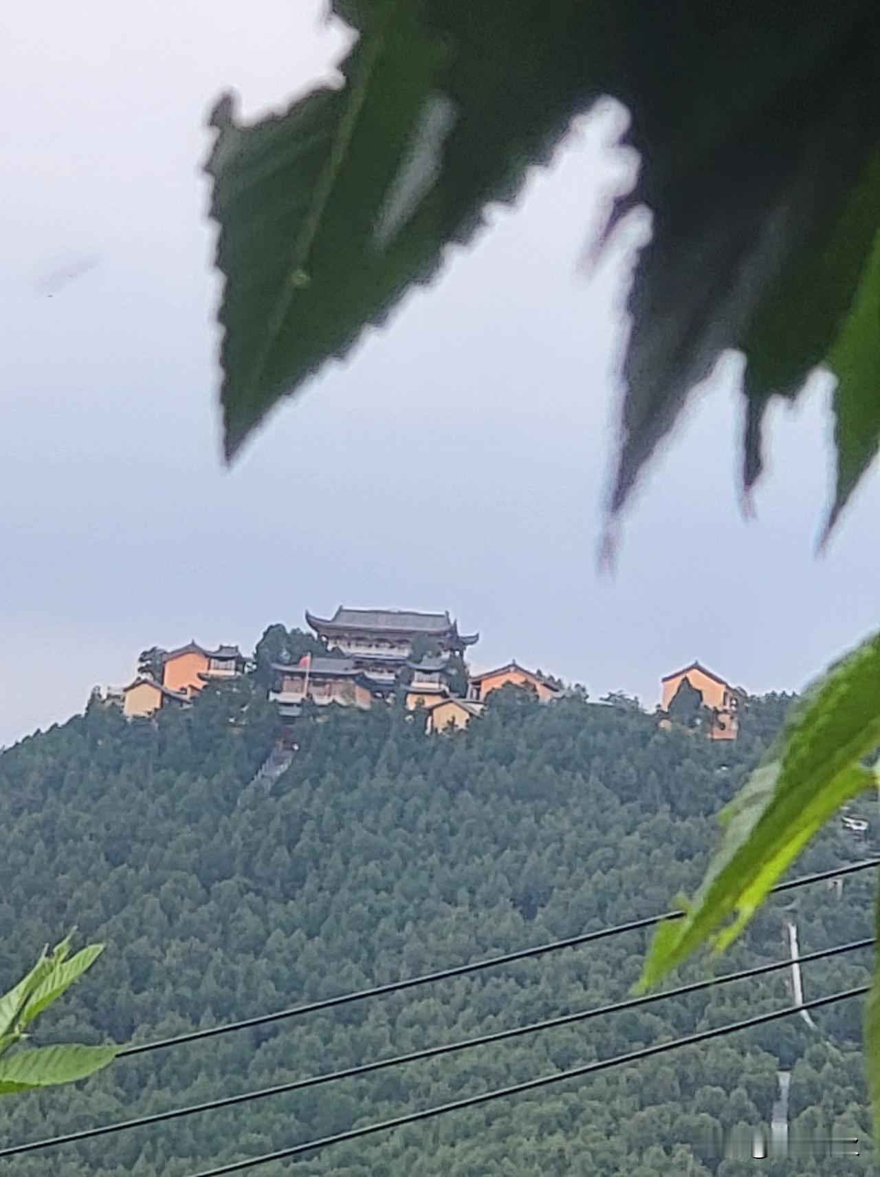 阳光洒满的野花田，感受大自然的美好与宁静。