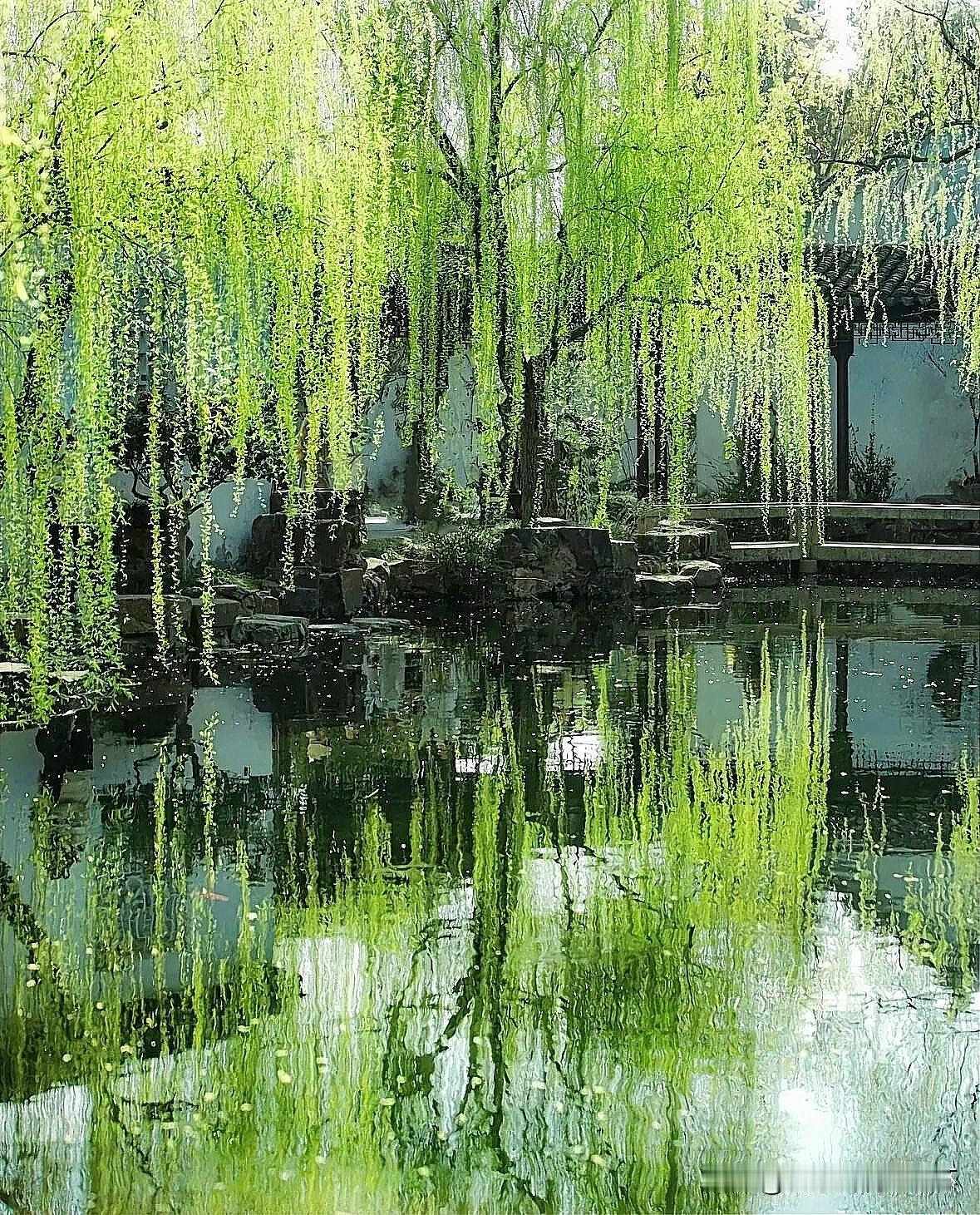 上联：西湖烟柳春归处
下联：有请雅士[玫瑰][玫瑰][玫瑰]