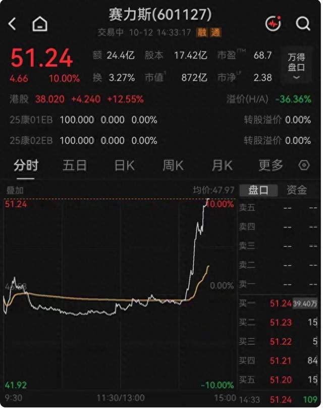 赛力斯从下跌持续拉升至涨停