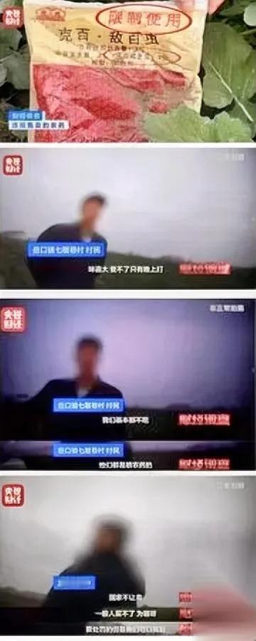 天门的菜，藏着“隐形套路”。

不是菜烂了，是喷了禁药还能“安全”卖。

那些看