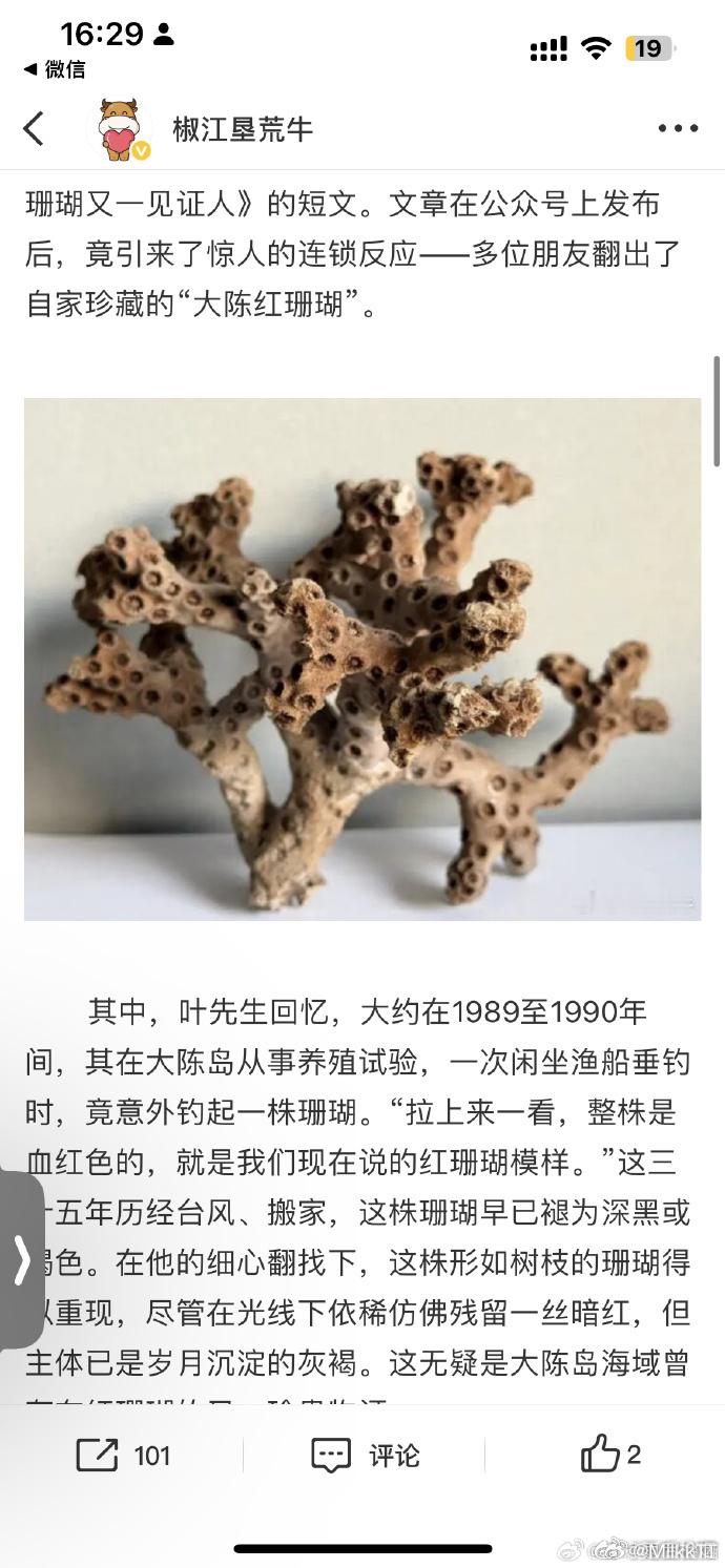 台州大陈海域里的珊瑚密码 珊瑚是海洋健康的“晴雨表”。大陈海域的这片绚烂，破译的