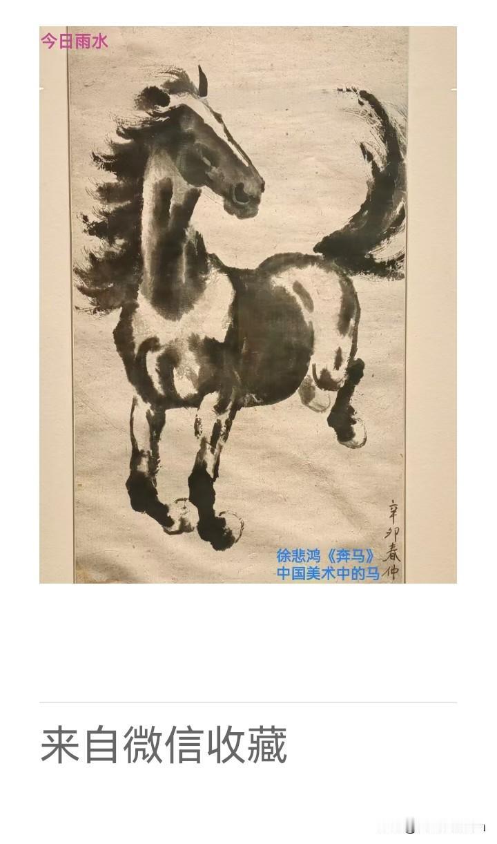 《老乐美拍.悲鸿奔马图》‌

双瞳剪水秀，
一鬃凌云奇。
不语苍茫里，
山河自入